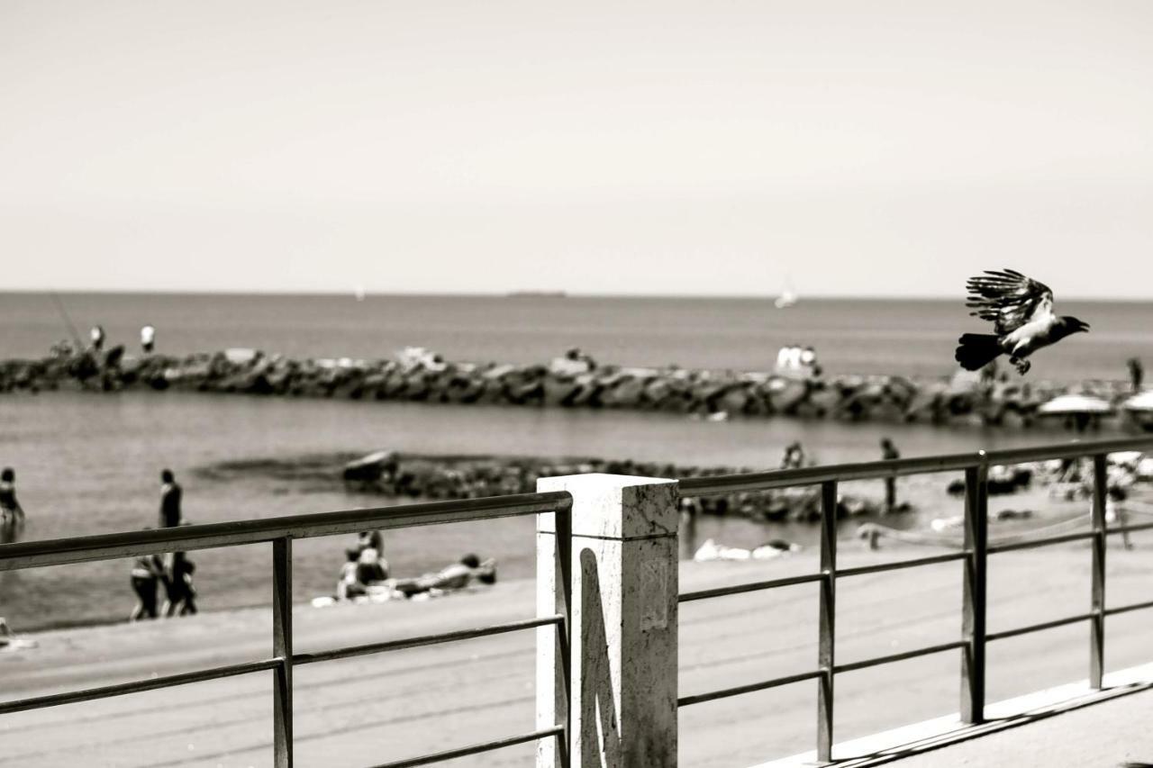 Open Space On The Sea Of Rome !:) Leilighet Lido di Ostia Eksteriør bilde